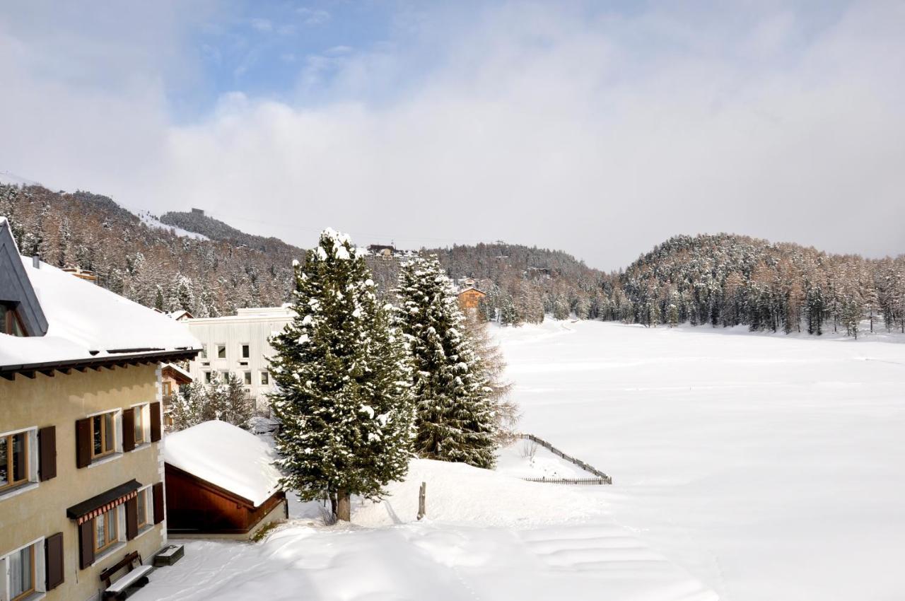 Cosy Apartment Facing Piz Rosatsch サンモリッツ エクステリア 写真