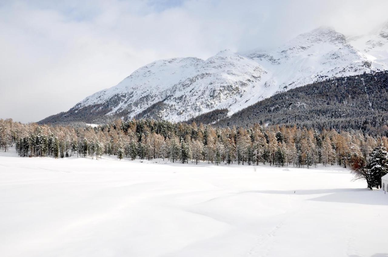 Cosy Apartment Facing Piz Rosatsch サンモリッツ エクステリア 写真