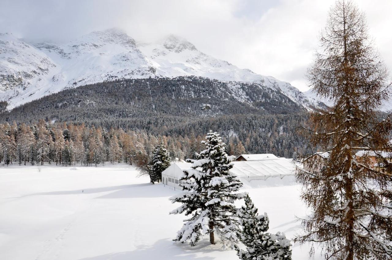 Cosy Apartment Facing Piz Rosatsch サンモリッツ エクステリア 写真